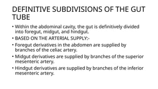 DEFINITIVE SUBDIVISIONS OF THE GUT
TUBE
• Within the abdominal cavity, the gut is definitively divided
into foregut, midgut, and hindgut.
• BASED ON THE ARTERIAL SUPPLY:-
• Foregut derivatives in the abdomen are supplied by
branches of the celiac artery.
• Midgut derivatives are supplied by branches of the superior
mesenteric artery.
• Hindgut derivatives are supplied by branches of the inferior
mesenteric artery.
 