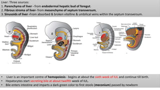 Development of Hepatobiliary System | PPTX