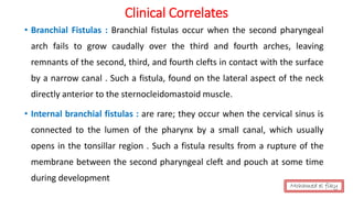 • Branchial Fistulas : Branchial fistulas occur when the second pharyngeal
arch fails to grow caudally over the third and fourth arches, leaving
remnants of the second, third, and fourth clefts in contact with the surface
by a narrow canal . Such a fistula, found on the lateral aspect of the neck
directly anterior to the sternocleidomastoid muscle.
• Internal branchial fistulas : are rare; they occur when the cervical sinus is
connected to the lumen of the pharynx by a small canal, which usually
opens in the tonsillar region . Such a fistula results from a rupture of the
membrane between the second pharyngeal cleft and pouch at some time
during development
Clinical Correlates
Mohamed el fiky
 