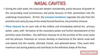 • During the sixth week, the nasal pits deepen considerably, partly because of growth of
the surrounding nasal prominences and partly because of their penetration into the
underlying mesenchyme . At first. the oronasal membrane separates the pits from the
primitive oral cavity by way of the newly formed foramina, the primitive choanae
• These choanae lie on each side of the midline and immediately behind the primary
palate. Later, with formation of the secondary palate and further development of the
primitive nasal chambers , the definitive choanae lie at the junction of the nasal cavity
and the pharynx. Paranasal air sinuses develop as diverticula of the lateral nasal wall
and extend into the maxilla, ethmoid, frontal, and sphenoid bones. They reach their
maximum size during puberty and contribute to the definitive shape of the face.
NASAL CAVITIES
Mohamed el fiky
 