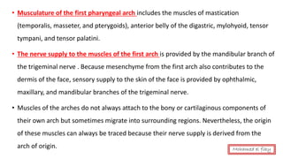 • Musculature of the first pharyngeal arch includes the muscles of mastication
(temporalis, masseter, and pterygoids), anterior belly of the digastric, mylohyoid, tensor
tympani, and tensor palatini.
• The nerve supply to the muscles of the first arch is provided by the mandibular branch of
the trigeminal nerve . Because mesenchyme from the first arch also contributes to the
dermis of the face, sensory supply to the skin of the face is provided by ophthalmic,
maxillary, and mandibular branches of the trigeminal nerve.
• Muscles of the arches do not always attach to the bony or cartilaginous components of
their own arch but sometimes migrate into surrounding regions. Nevertheless, the origin
of these muscles can always be traced because their nerve supply is derived from the
arch of origin. Mohamed el fiky
 