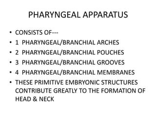 PHARYNGEAL APPARATUS
•   CONSISTS OF---
•   1 PHARYNGEAL/BRANCHIAL ARCHES
•   2 PHARYNGEAL/BRANCHIAL POUCHES
•   3 PHARYNGEAL/BRANCHIAL GROOVES
•   4 PHARYNGEAL/BRANCHIAL MEMBRANES
•   THESE PRIMITIVE EMBRYONIC STRUCTURES
    CONTRIBUTE GREATLY TO THE FORMATION OF
    HEAD & NECK
 