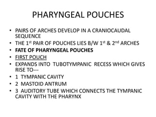 PHARYNGEAL POUCHES
• PAIRS OF ARCHES DEVELOP IN A CRANIOCAUDAL
  SEQUENCE
• THE 1st PAIR OF POUCHES LIES B/W 1st & 2nd ARCHES
• FATE OF PHARYNGEAL POUCHES
• FIRST POUCH
• EXPANDS INTO TUBOTYMPANIC RECESS WHICH GIVES
  RISE TO---
• 1 TYMPANIC CAVITY
• 2 MASTOID ANTRUM
• 3 AUDITORY TUBE WHICH CONNECTS THE TYMPANIC
  CAVITY WITH THE PHARYNX
 