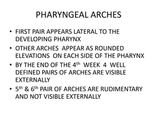 PHARYNGEAL ARCHES
• FIRST PAIR APPEARS LATERAL TO THE
  DEVELOPING PHARYNX
• OTHER ARCHES APPEAR AS ROUNDED
  ELEVATIONS ON EACH SIDE OF THE PHARYNX
• BY THE END OF THE 4th WEEK 4 WELL
  DEFINED PAIRS OF ARCHES ARE VISIBLE
  EXTERNALLY
• 5th & 6th PAIR OF ARCHES ARE RUDIMENTARY
  AND NOT VISIBLE EXTERNALLY
 