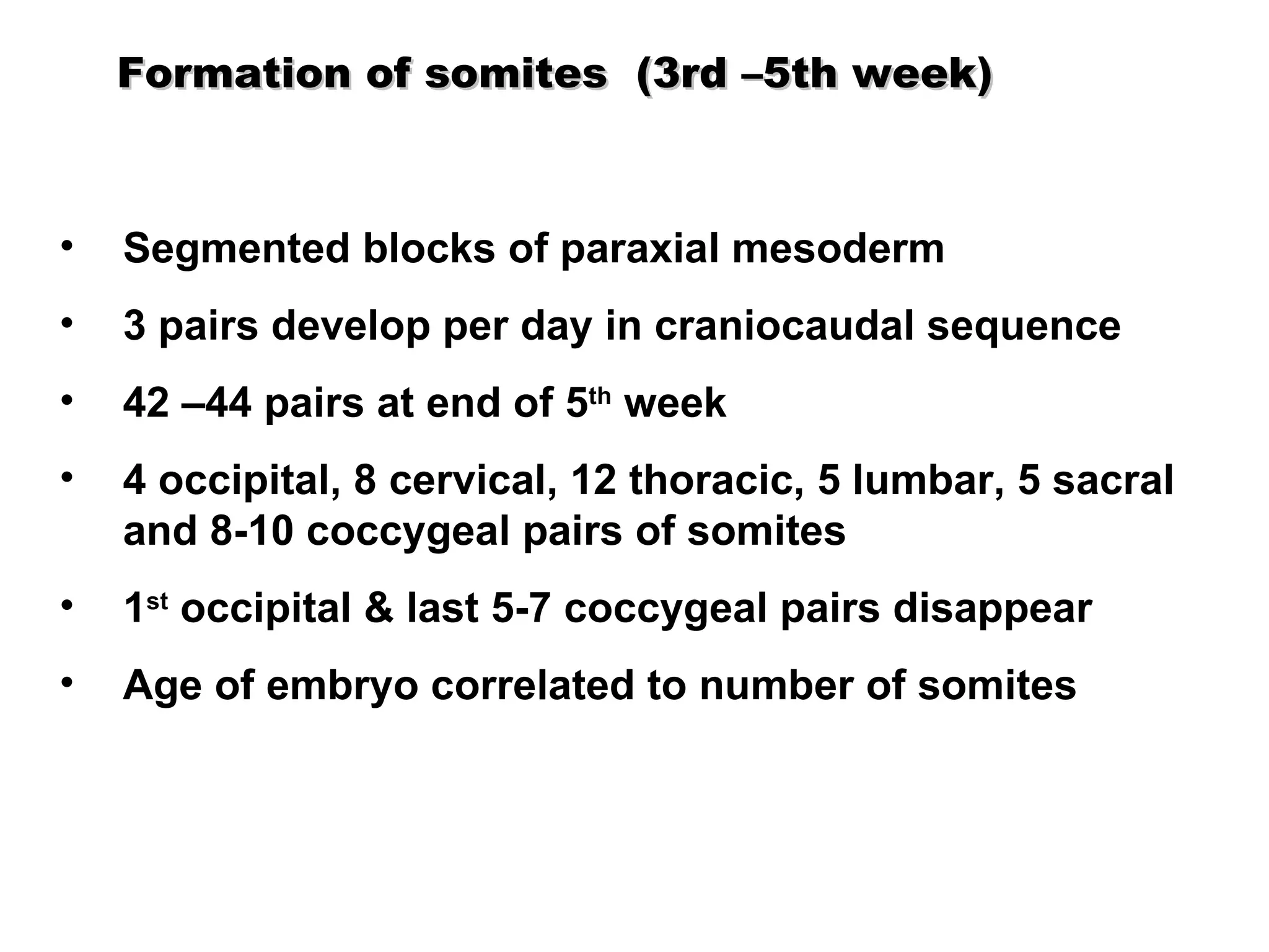 Segmented blocks of paraxial mesoderm 3 pairs develop per day in craniocaudal sequence 42 –44 pairs at end of 5 th  week 4 occipital, 8 cervical, 12 thoracic, 5 lumbar, 5 sacral and 8-10 coccygeal pairs of somites 1 st  occipital & last 5-7 coccygeal pairs disappear Age of embryo correlated to number of somites  Formation of somites   (3rd –5th week) 