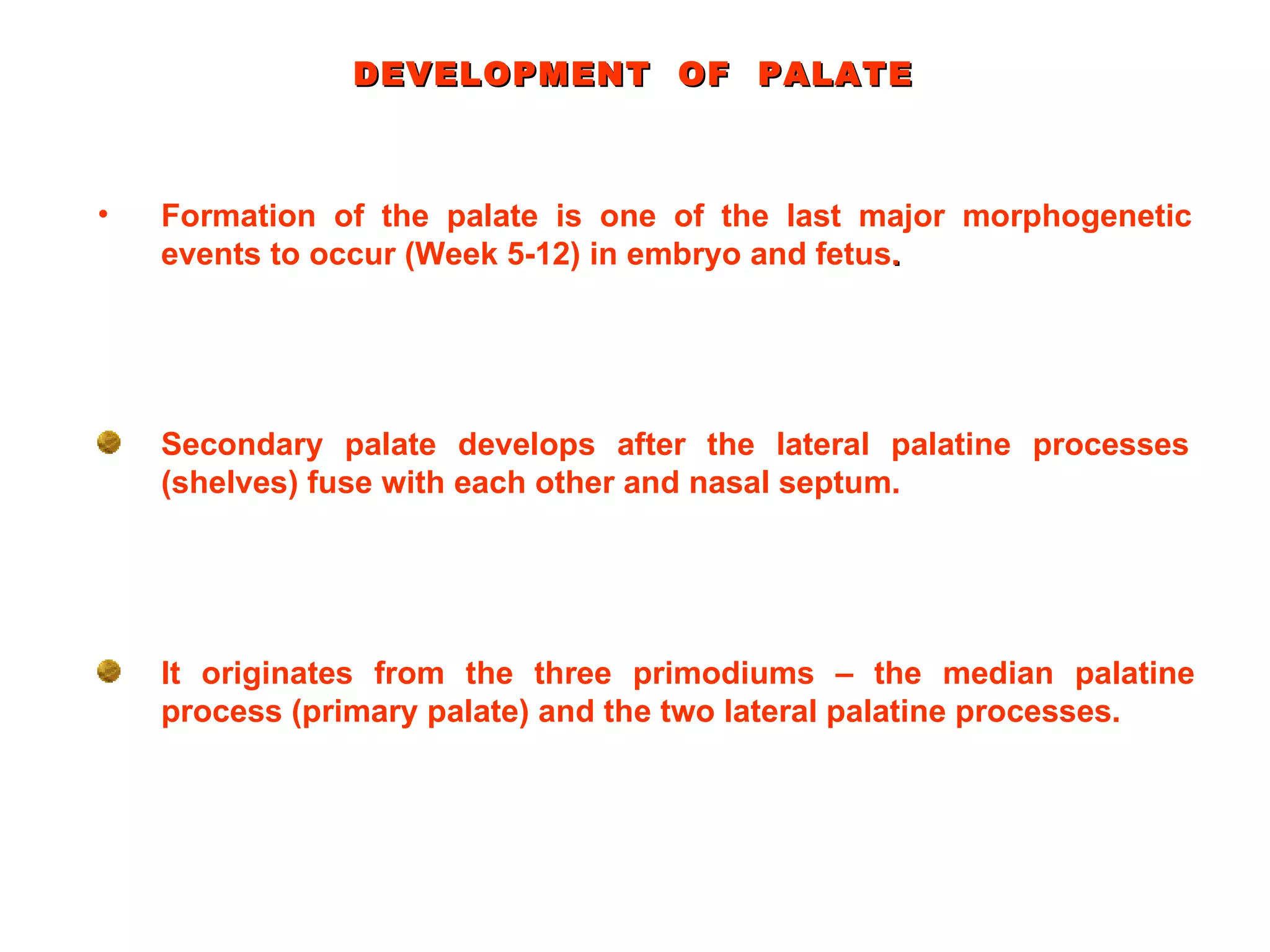 It originates from the three primodiums – the median palatine process (primary palate) and the two lateral palatine processes. DEVELOPMENT  OF  PALATE Formation of the palate is one of the last major morphogenetic events to occur (Week 5-12) in embryo and fetus . Secondary palate develops after the lateral palatine processes (shelves) fuse with each other and nasal septum. 
