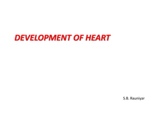 DEVELOPMENT OF HEART
S.B. Rauniyar
 
