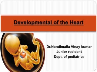 Dr.Nandimalla Vinay kumar
Junior resident
Dept. of pediatrics
Developmental of the Heart
 