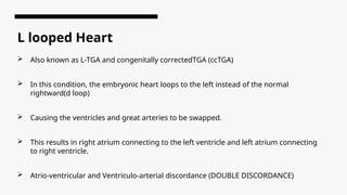 Tga Loop Types Development of heart and cardiovascular system.pptx