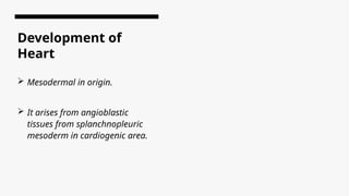 Mesodermal Development Development of heart and cardiovascular system.pptx