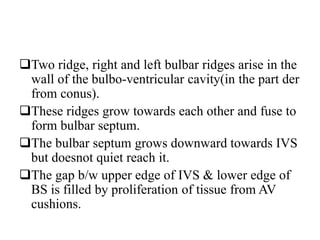 Fused Ridge Example Diagram Development of heart ,,embryology,,virbhan | PPTX