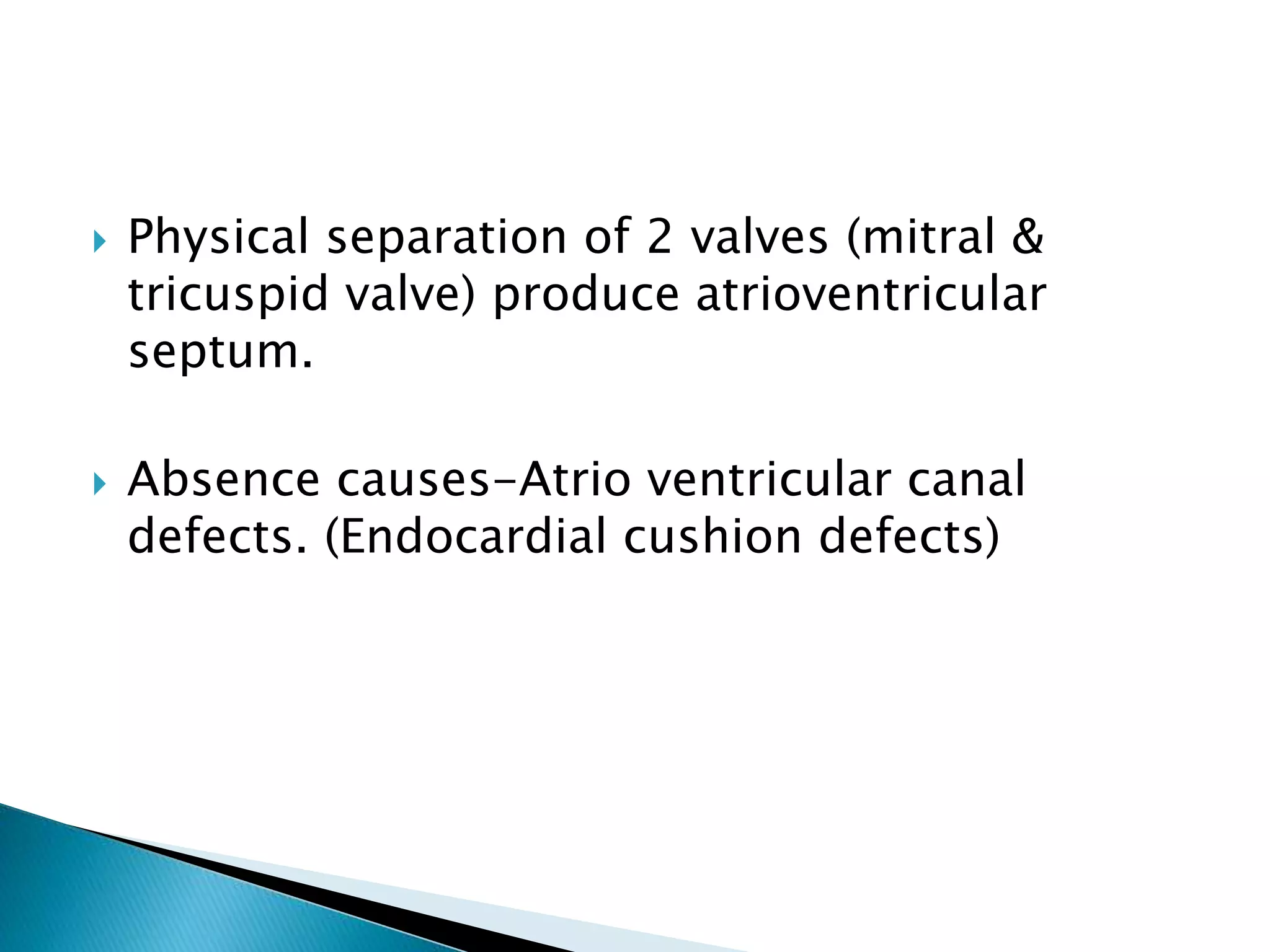  Physical separation of 2 valves (mitral &
tricuspid valve) produce atrioventricular
septum.
 Absence causes-Atrio ventricular canal
defects. (Endocardial cushion defects)
 