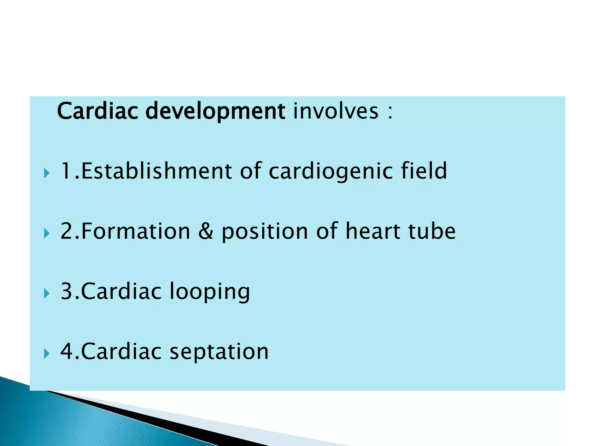 Cardiac development involves :
 1.Establishment of cardiogenic field
 2.Formation & position of heart tube
 3.Cardiac looping
 4.Cardiac septation
 