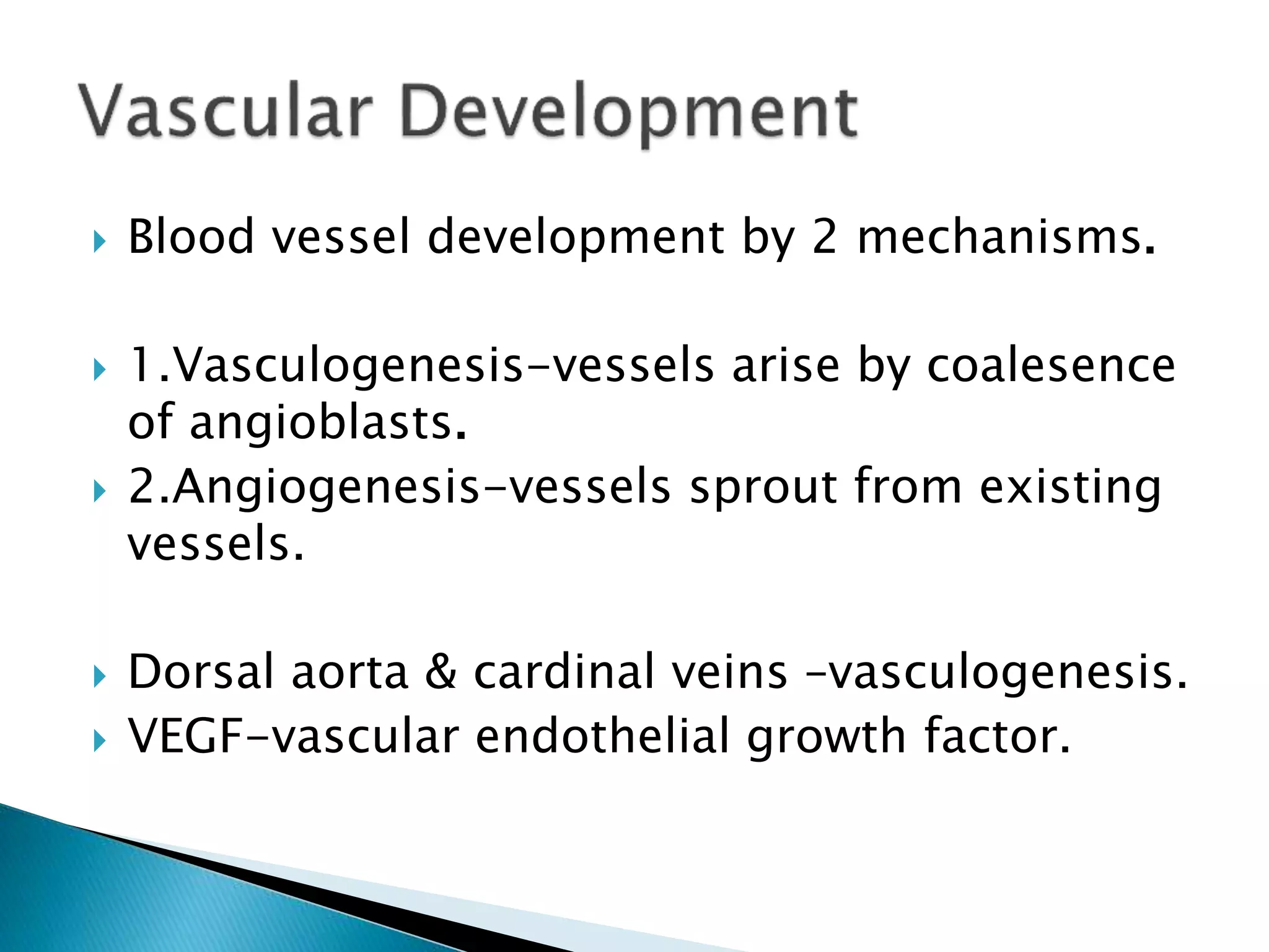  Blood vessel development by 2 mechanisms.
 1.Vasculogenesis-vessels arise by coalesence
of angioblasts.
 2.Angiogenesis-vessels sprout from existing
vessels.
 Dorsal aorta & cardinal veins –vasculogenesis.
 VEGF-vascular endothelial growth factor.
 