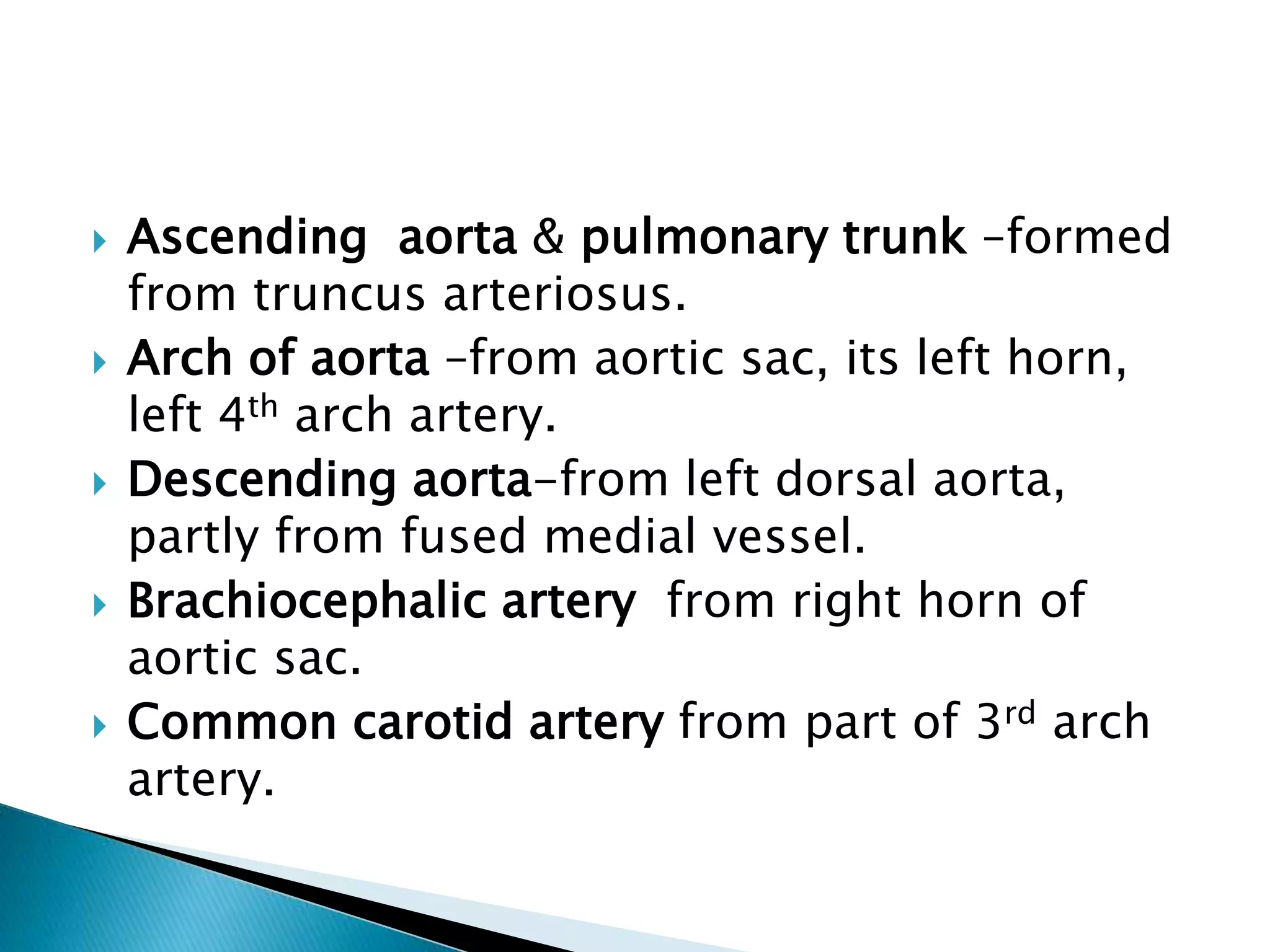  Ascending aorta & pulmonary trunk –formed
from truncus arteriosus.
 Arch of aorta –from aortic sac, its left horn,
left 4th arch artery.
 Descending aorta-from left dorsal aorta,
partly from fused medial vessel.
 Brachiocephalic artery from right horn of
aortic sac.
 Common carotid artery from part of 3rd arch
artery.
 