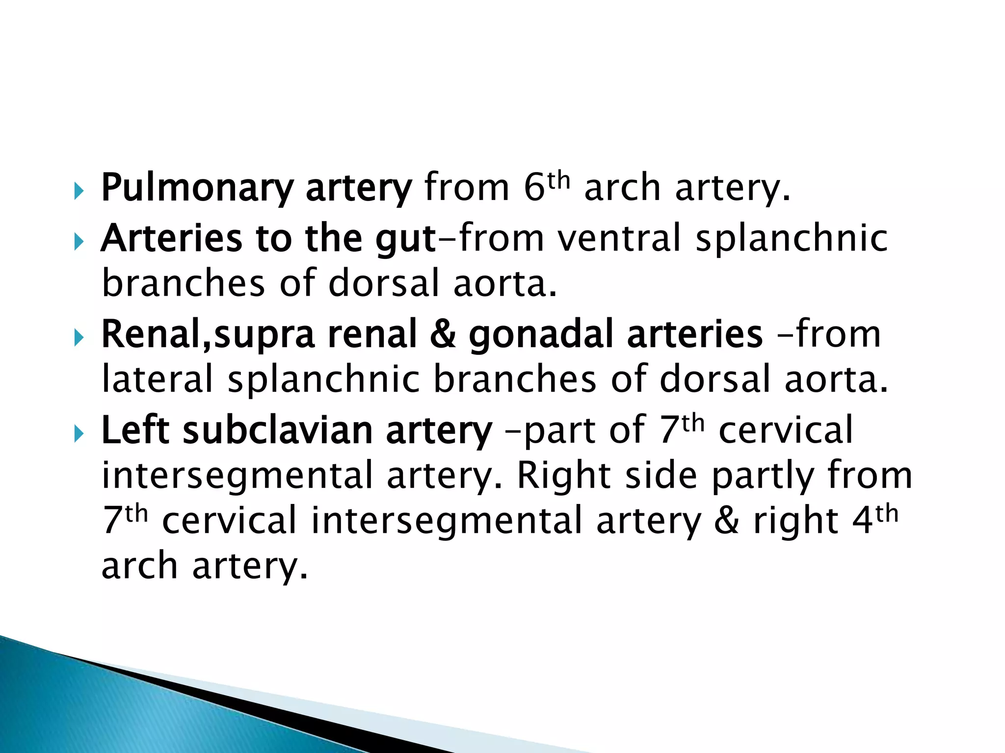  Pulmonary artery from 6th arch artery.
 Arteries to the gut-from ventral splanchnic
branches of dorsal aorta.
 Renal,supra renal & gonadal arteries –from
lateral splanchnic branches of dorsal aorta.
 Left subclavian artery –part of 7th cervical
intersegmental artery. Right side partly from
7th cervical intersegmental artery & right 4th
arch artery.
 