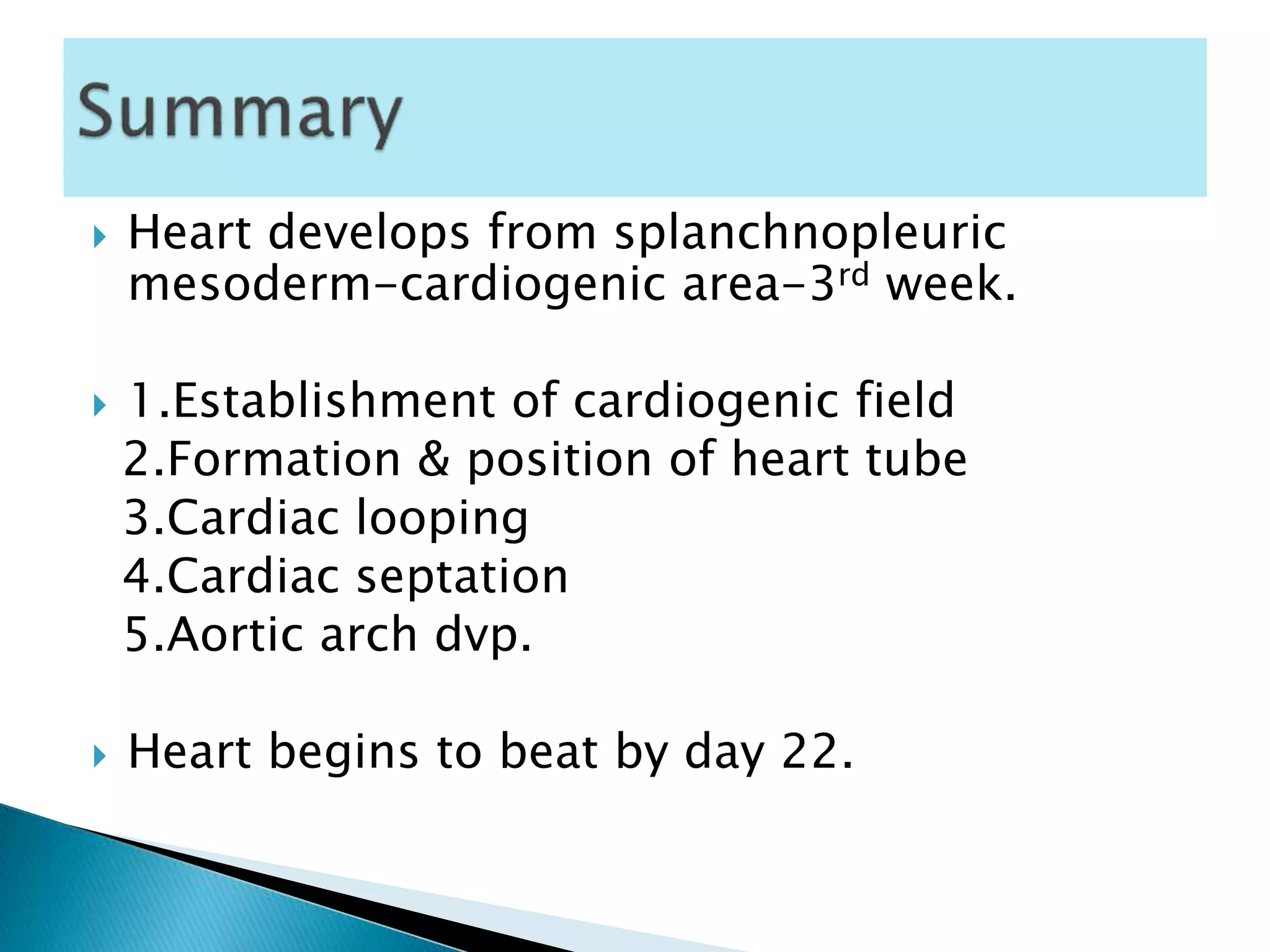  Heart develops from splanchnopleuric
mesoderm-cardiogenic area-3rd week.
 1.Establishment of cardiogenic field
2.Formation & position of heart tube
3.Cardiac looping
4.Cardiac septation
5.Aortic arch dvp.
 Heart begins to beat by day 22.
 