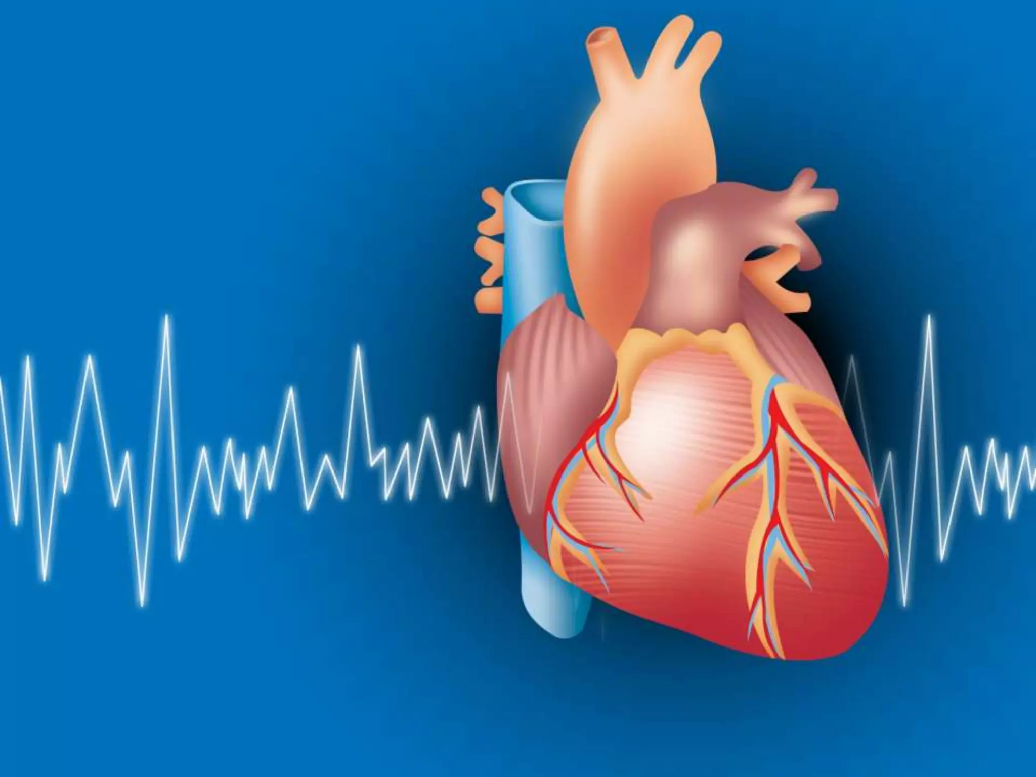 Development of heart finale   copy