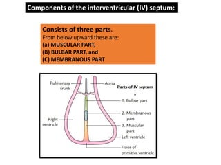 development of heart and it’s clinical abnormal | PDF