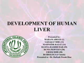 DEVELOPMENT OF HUMAN
LIVER
Presented by:
MAHAM ABBASI (1)
SADAQAT BIBI (12)
MAHNOOR HAYAT (14)
HAMNA RASHID DAR (29)
HUMA PERVEEN (30)
UROOJ BIBI (28)
BS BIOLOGY(1st batch)
Presented to : Dr. Hafizah Fizzah Riaz
 