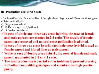 III) Production of Hybrid Seed:
After identification of superior line of the hybrid seed is produced. There are three types
of Intervarietal hybrid.
a) Single cross hybrid,
b) b) Three way cross hybrid and
c) c) Double cross hybrid.
 In case of single and three way cross hybrids, the rows of female
and male parents are planted in 2:1 ratio. The tassels of female
parent are removed and natural cross pollination is allowed.
 In case of three way cross hybrid, the single cross hybrid is used as
female parent and inbred lines as male parent.
 While in case of double cross hybrid , the rows of female and male
parent are planted in 3:1 or 4:1 ratio.
 The seed production is carried out in isolation to prevent crossing
with other compatible genotypes and maintain the high genetic
purity.
 