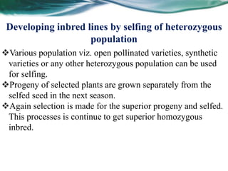 Various population viz. open pollinated varieties, synthetic
varieties or any other heterozygous population can be used
for selfing.
Progeny of selected plants are grown separately from the
selfed seed in the next season.
Again selection is made for the superior progeny and selfed.
This processes is continue to get superior homozygous
inbred.
Developing inbred lines by selfing of heterozygous
population
 