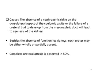 Development of kidney & its anomalies | PPTX