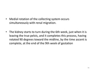 Development of kidney & its anomalies | PPTX