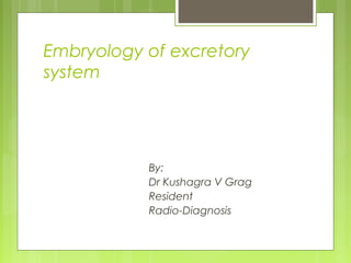 Embryology of excretory
system

By:
Dr Kushagra V Grag
Resident
Radio-Diagnosis

 