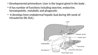 Development of Liver and billiarry system | PPT