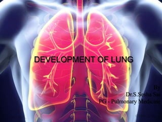 DEVELOPMENT OF LUNG
By
Dr.S.Sesha Sai
PG - Pulmonary Medicine
 