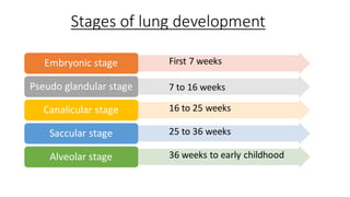 Normal Lung Function Development Chart DEVELOPMENT OF LUNG.pdf