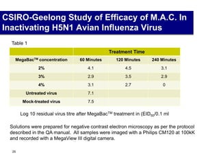 CSIRO-Geelong Study of Efficacy of M.A.C. In
Inactivating H5N1 Avian Influenza Virus
Treatment Time
MegaBacTM concentration 60 Minutes 120 Minutes 240 Minutes
2% 4.1 4.5 3.1
3% 2.9 3.5 2.9
4% 3.1 2.7 0
Untreated virus 7.1
Mock-treated virus 7.5
Log 10 residual virus titre after MegaBacTM treatment in (EID50/0.1 ml
Solutions were prepared for negative contrast electron microscopy as per the protocol
described in the QA manual. All samples were imaged with a Philips CM120 at 100kK
and recorded with a MegaView III digital camera.
Table 1
29
 