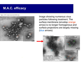 M.A.C. efficacy
Image showing numerous virus
particles following treatment. The
surface membrane (envelop orange
arrow) is no longer homogenous and
surface projections are largely missing
(blue arrows)
31
 