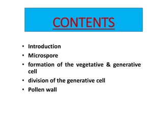 CONTENTS
• Introduction
• Microspore
• formation of the vegetative & generative
cell
• division of the generative cell
• Pollen wall
 
