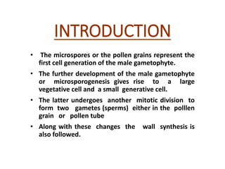 INTRODUCTION
• The microspores or the pollen grains represent the
first cell generation of the male gametophyte.
• The further development of the male gametophyte
or microsporogenesis gives rise to a large
vegetative cell and a small generative cell.
• The latter undergoes another mitotic division to
form two gametes (sperms) either in the polllen
grain or pollen tube
• Along with these changes the wall synthesis is
also followed.
 