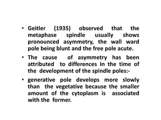• Geitler (1935) observed that the
metaphase spindle usually shows
pronounced asymmetry, the wall ward
pole being blunt and the free pole acute.
• The cause of asymmetry has been
attributed to differences In the time of
the development of the spindle poles:-
• generative pole develops more slowly
than the vegetative because the smaller
amount of the cytoplasm is associated
with the former.
 