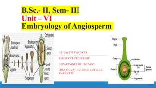 B.Sc.- II, Sem- III
Unit – VI
Embryology of Angiosperm
DR. SWATI PUNDKAR
ASSISTANT PROFESSOR
DEPARTMNET OF BOTANY
SHRI SHIVAJI SCIENCE COLLEGE,
AMRAVATI
 