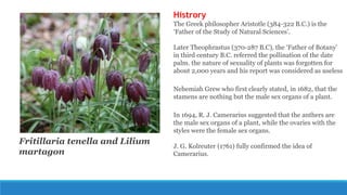 Fritillaria tenella and Lilium
martagon
Histrory
The Greek philosopher Aristotle (384-322 B.C.) is the
‘Father of the Study of Natural Sciences’.
Later Theophrastus (370-287 B.C), the ‘Father of Botany’
in third century B.C. referred the pollination of the date
palm. the nature of sexuality of plants was forgotten for
about 2,000 years and his report was considered as useless
Nehemiah Grew who first clearly stated, in 1682, that the
stamens are nothing but the male sex organs of a plant.
In 1694, R. J. Camerarius suggested that the anthers are
the male sex organs of a plant, while the ovaries with the
styles were the female sex organs.
J. G. Kolreuter (1761) fully confirmed the idea of
Camerarius.
 