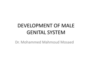 DEVELOPMENT OF MALE
GENITAL SYSTEM
Dr. Mohammed Mahmoud Mosaed
 