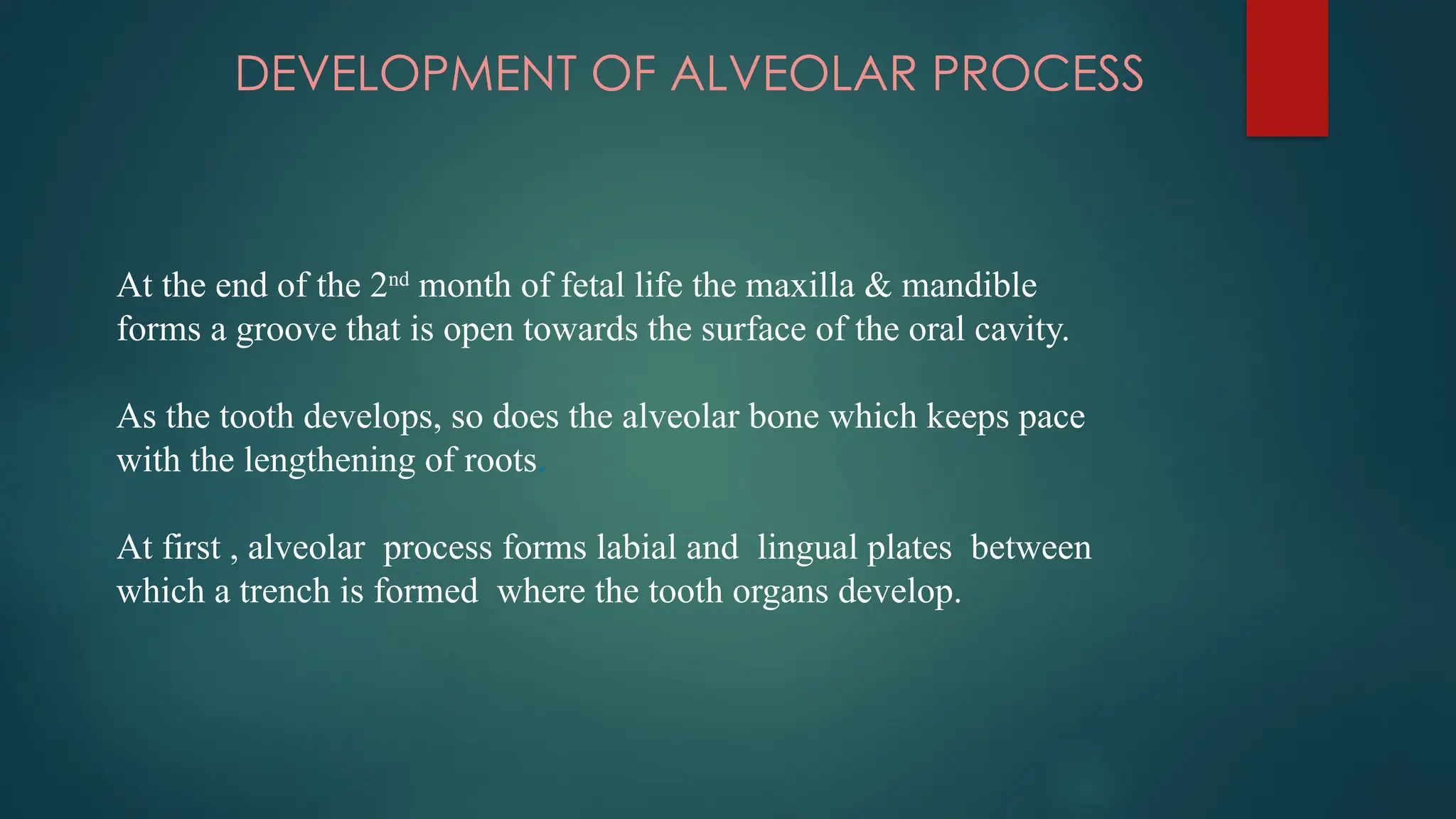 DEVELOPMENT OF ALVEOLAR PROCESS
At the end of the 2nd
month of fetal life the maxilla & mandible
forms a groove that is open towards the surface of the oral cavity.
As the tooth develops, so does the alveolar bone which keeps pace
with the lengthening of roots.
At first , alveolar process forms labial and lingual plates between
which a trench is formed where the tooth organs develop.
 