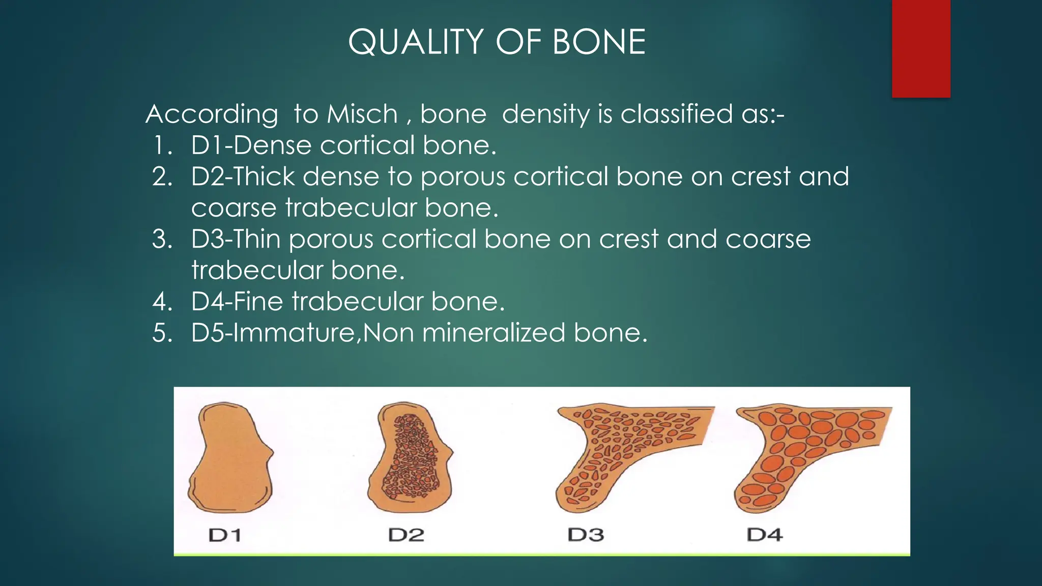 According to Misch , bone density is classified as:-
1. D1-Dense cortical bone.
2. D2-Thick dense to porous cortical bone on crest and
coarse trabecular bone.
3. D3-Thin porous cortical bone on crest and coarse
trabecular bone.
4. D4-Fine trabecular bone.
5. D5-Immature,Non mineralized bone.
QUALITY OF BONE
 