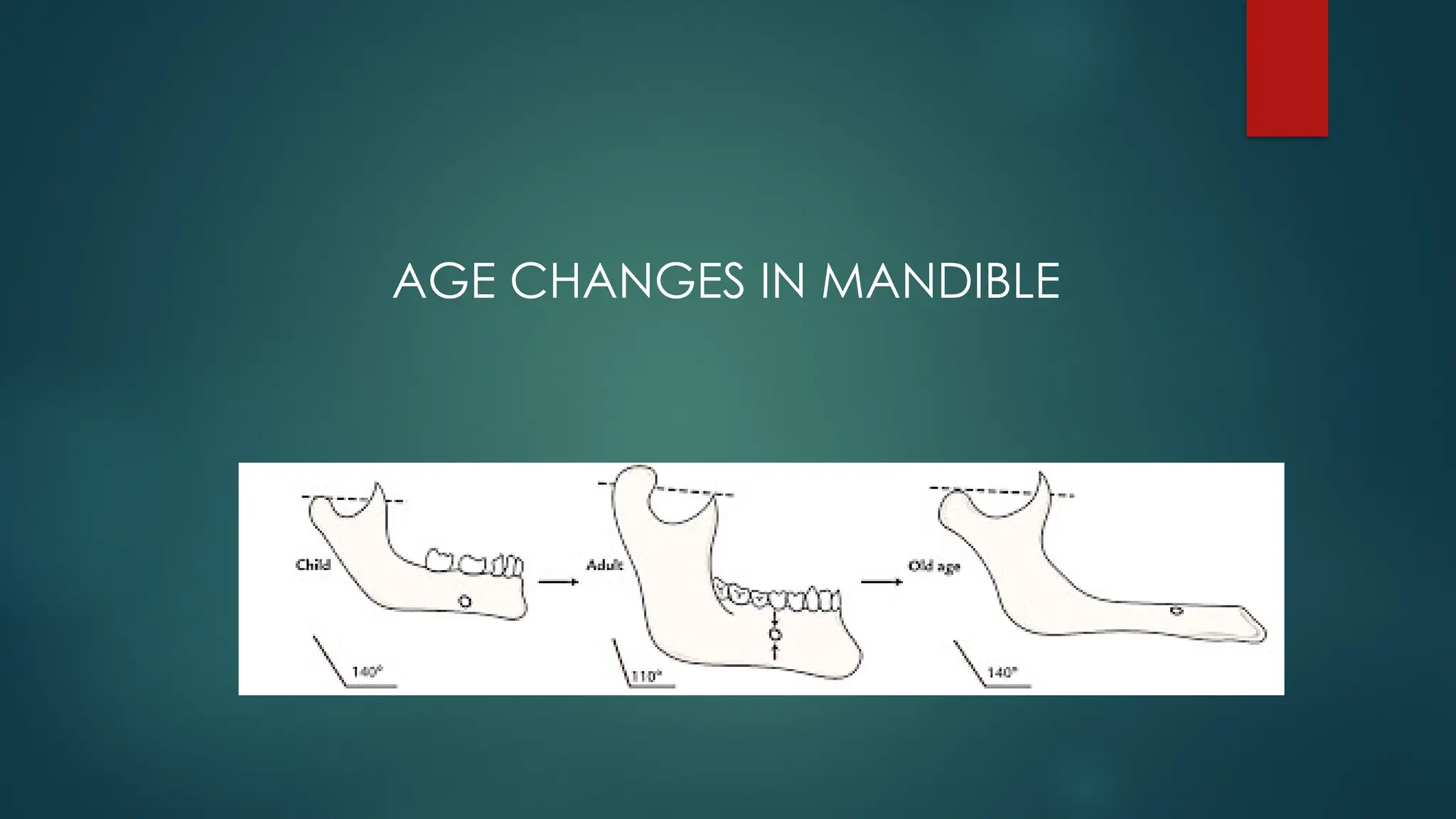 AGE CHANGES IN MANDIBLE
 