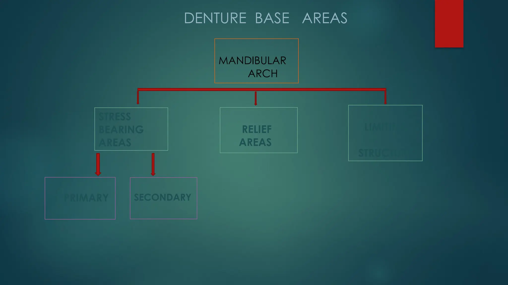 STRESS
BEARING
AREAS
RELIEF
AREAS
LIMITING
STRUCTURE
PRIMARY SECONDARY
DENTURE BASE AREAS
MANDIBULAR
ARCH
 