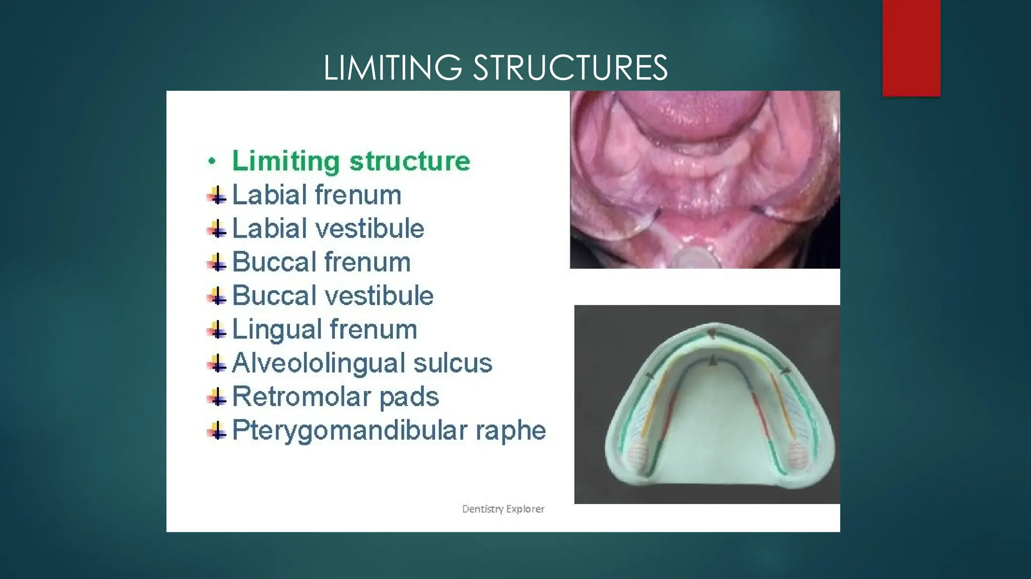 LIMITING STRUCTURES
 