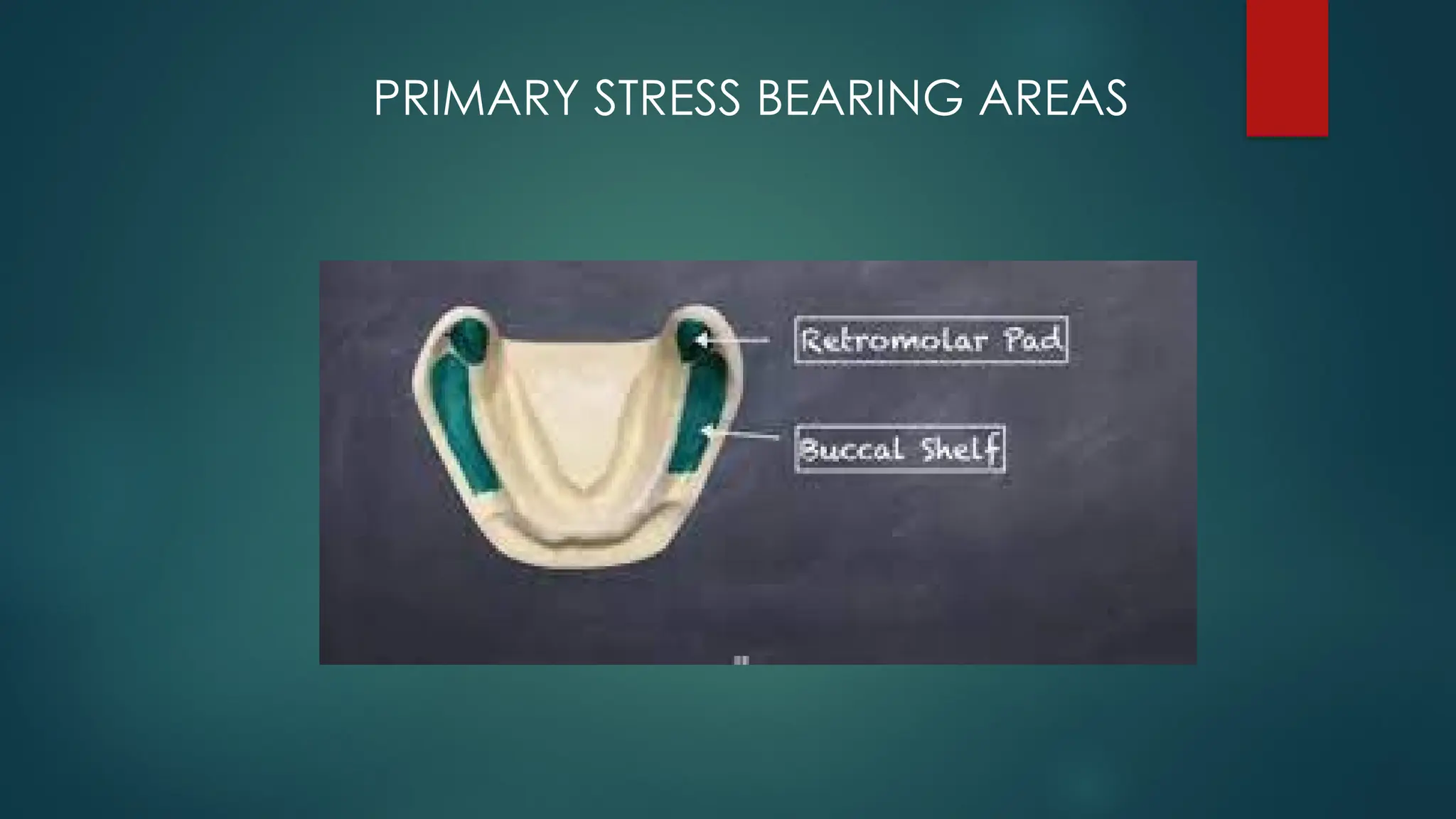 PRIMARY STRESS BEARING AREAS
 