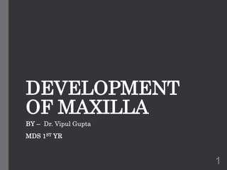 DEVELOPMENT
OF MAXILLA
BY – Dr. Vipul Gupta
MDS 1ST YR
1
 