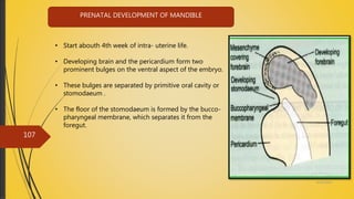 4/14/2018
107
PRENATAL DEVELOPMENT OF MANDIBLE
• Start abouth 4th week of intra- uterine life.
• Developing brain and the pericardium form two
prominent bulges on the ventral aspect of the embryo.
• These bulges are separated by primitive oral cavity or
stomodaeum .
• The floor of the stomodaeum is formed by the bucco-
pharyngeal membrane, which separates it from the
foregut.
 