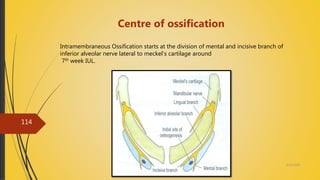 4/14/2018
114
Centre of ossification
Intramembraneous Ossification starts at the division of mental and incisive branch of
inferior alveolar nerve lateral to meckel’s cartilage around
7th week IUL.
 