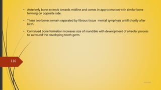 4/14/2018
116
• Anteriorly bone extends towards midline and comes in approximation with similar bone
forming on opposite side.
• These two bones remain separated by fibrous tissue mental symphysis untill shortly after
birth.
• Continued bone formation increases size of mandible with development of alveolar process
to surround the developing tooth germ.
 